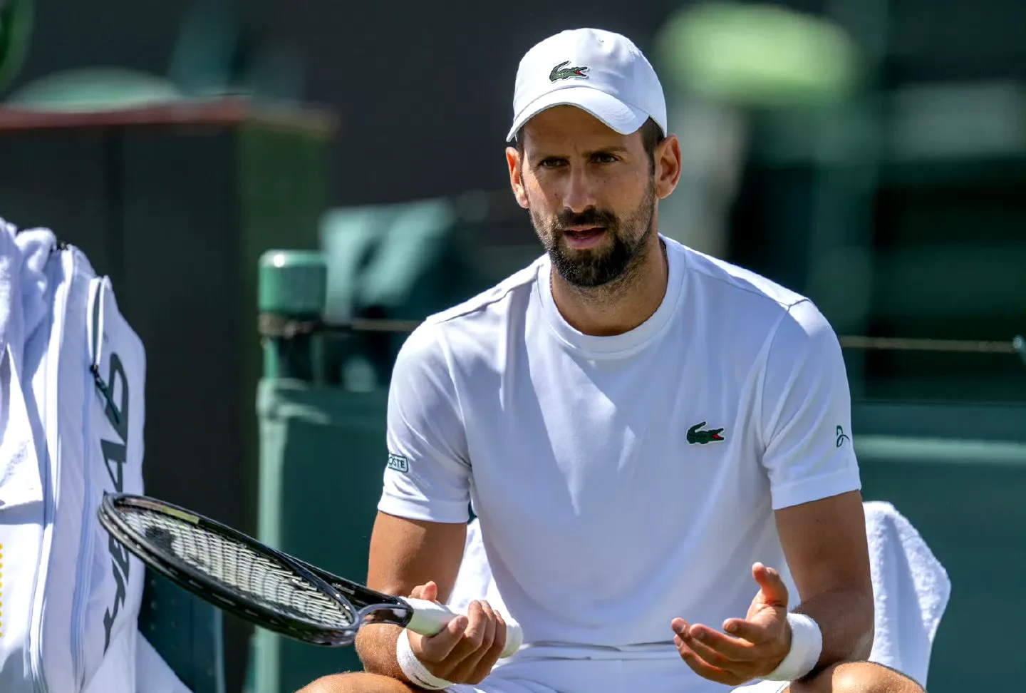 美网鏖战联合杯,德约科维奇状态火热 美网鏖战联合杯,德约科维奇状态火热