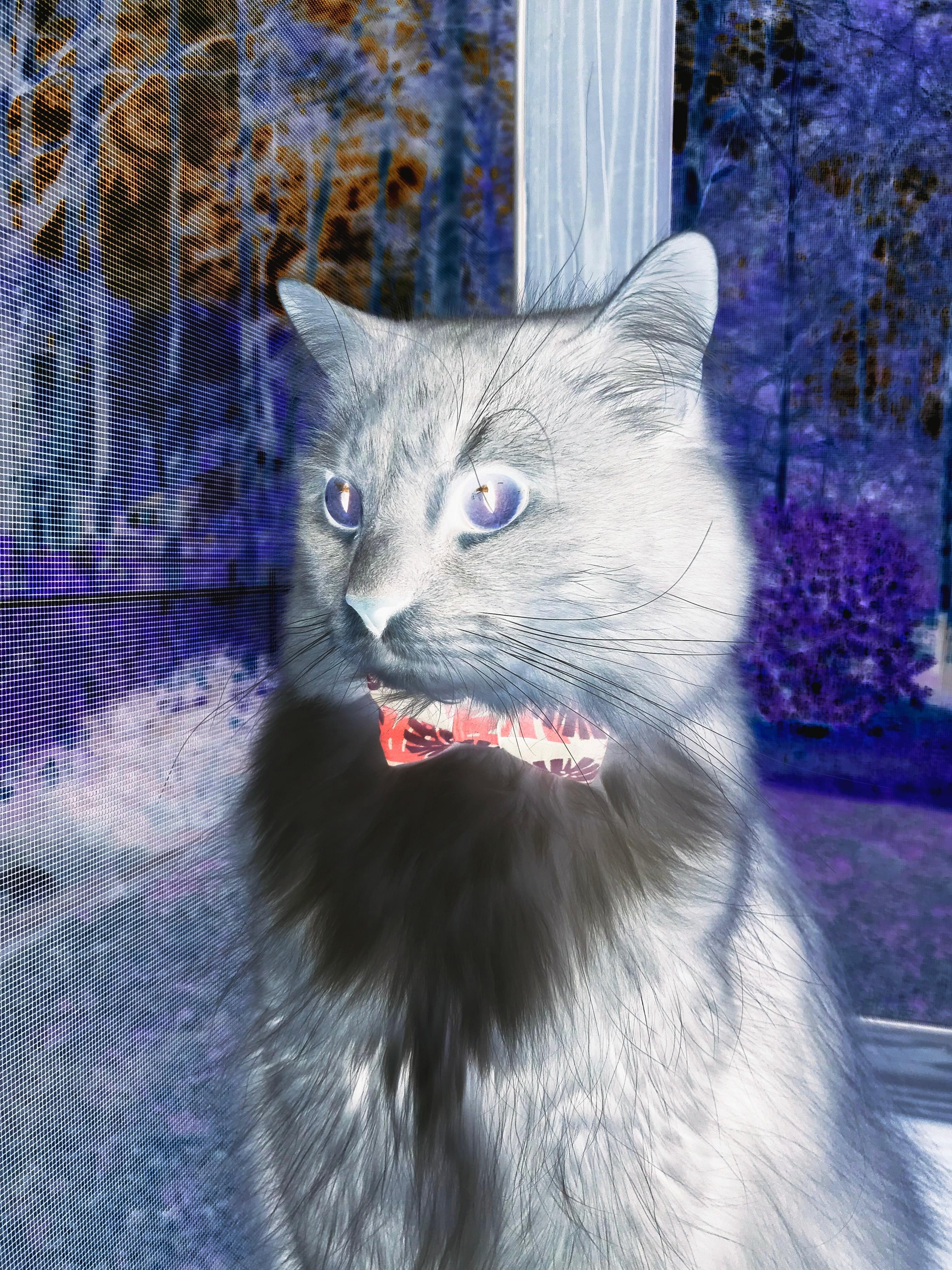 史诗一战!委内瑞拉绝杀韩国,托尼成为不朽关键先生