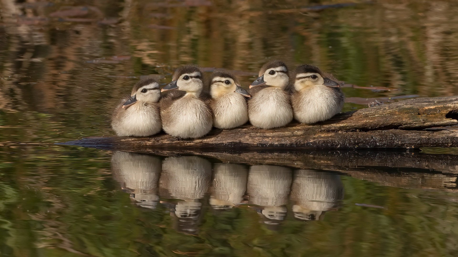 奥亚尔萨瓦尔爆发背后,沙特资本如何血拼巴黎,重塑足球权力版论