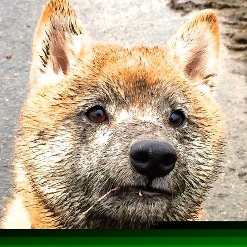 节奏的暗面,从拉什福德的掌控到牙买加的反杀美学